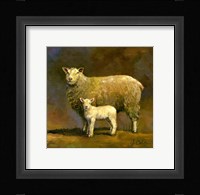 Taffy's Lamb Fine Art Print
