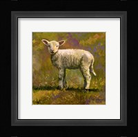Leap Year Lamb Fine Art Print