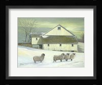 Sheep At Granough Fine Art Print