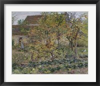 Yellow Apples, 1892 Fine Art Print