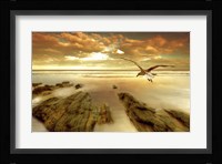 Soft Sunrise on the Beach 4 Fine Art Print