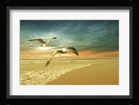 Soft Sunrise on the Beach 6 Fine Art Print