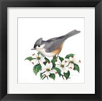 Studio Friends - Titmouse Framed Print