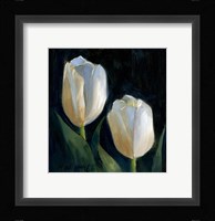 White Tulips Fine Art Print