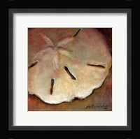 Sand Dollar Fine Art Print