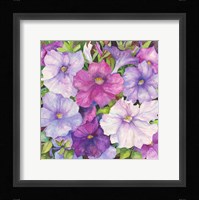 Petunias Fine Art Print