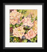 Florida Roses Framed Print