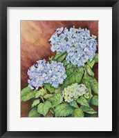 Blue Hydrangeas Fine Art Print