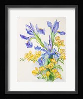 Iris With Gold Fuscia Fine Art Print