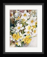Spring Daffodils Fine Art Print