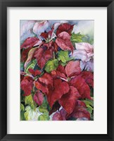 Pointesettia Fine Art Print