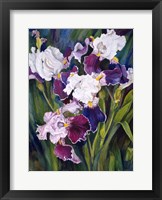 Wind Blown Iris Fine Art Print