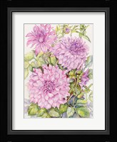 Lavender Dahlias Fine Art Print
