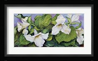 Woodland Trillium B Fine Art Print