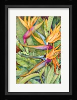 Birds Of Paradise Fine Art Print