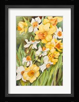 Early Spring Flowers Fine Art Print