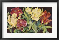 Red And Yellow Parrot Tulips Framed Print