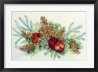 Winter Greens With Apples Framed Print