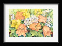 Peach Tulips & Daffodils Fine Art Print