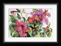 Hibiscus Framed Print