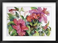 Hibiscus Fine Art Print