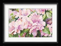 Sun Lit Azalea Fine Art Print