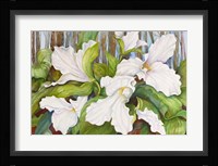 Woodland Trillium Fine Art Print
