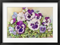 Pansy Cluster Fine Art Print