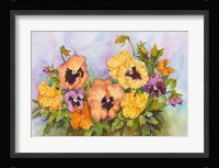 Pansies in a Blue Sky Framed Print