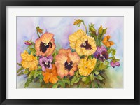 Pansies in a Blue Sky Fine Art Print