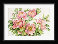Peony Spray Fine Art Print
