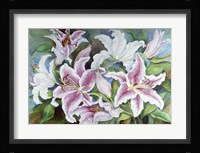 Lilies Of The Field Fine Art Print