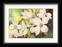 White Dogwood Fine Art Print