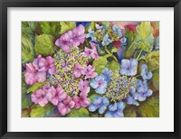 Lacy Hydrangea Fine Art Print