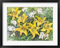 Gold Lilies And Freesia Fine Art Print