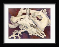 Remnants Fine Art Print