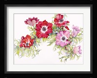 Red Anemonies Fine Art Print