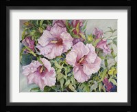 Pink Hibiscus Fine Art Print