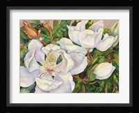 Magnolia Tree Fine Art Print