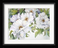 White Peonies Fine Art Print