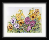 Amber Pansies Fine Art Print