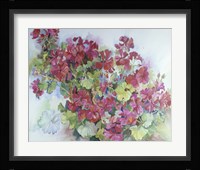 Geraniums Reaching For The Sky Fine Art Print