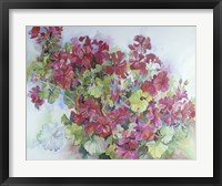 Geraniums Reaching For The Sky Fine Art Print