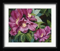 Wild Red Roses Fine Art Print