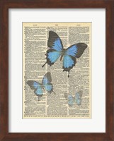 Secret Butterfly I Fine Art Print