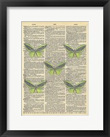 Secret Butterfly II Fine Art Print