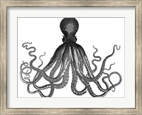 Octopus Vintage Fine Art Print