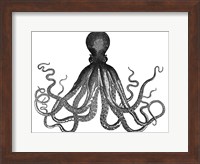 Octopus Vintage Fine Art Print