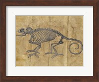 Chameleon I Fine Art Print