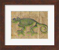 Chameleon III Fine Art Print
